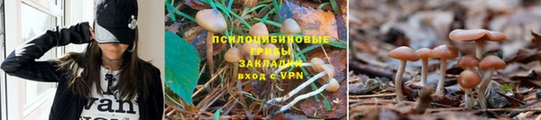 ALPHA-PVP Алексин