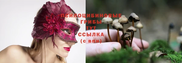 Альфа ПВП Алзамай