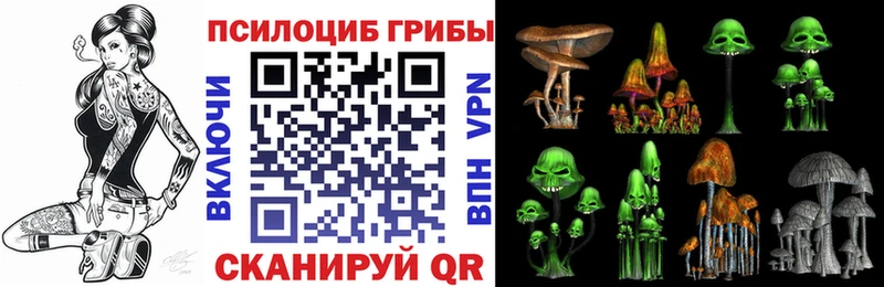 Псилоцибиновые грибы GOLDEN TEACHER  Кириши 