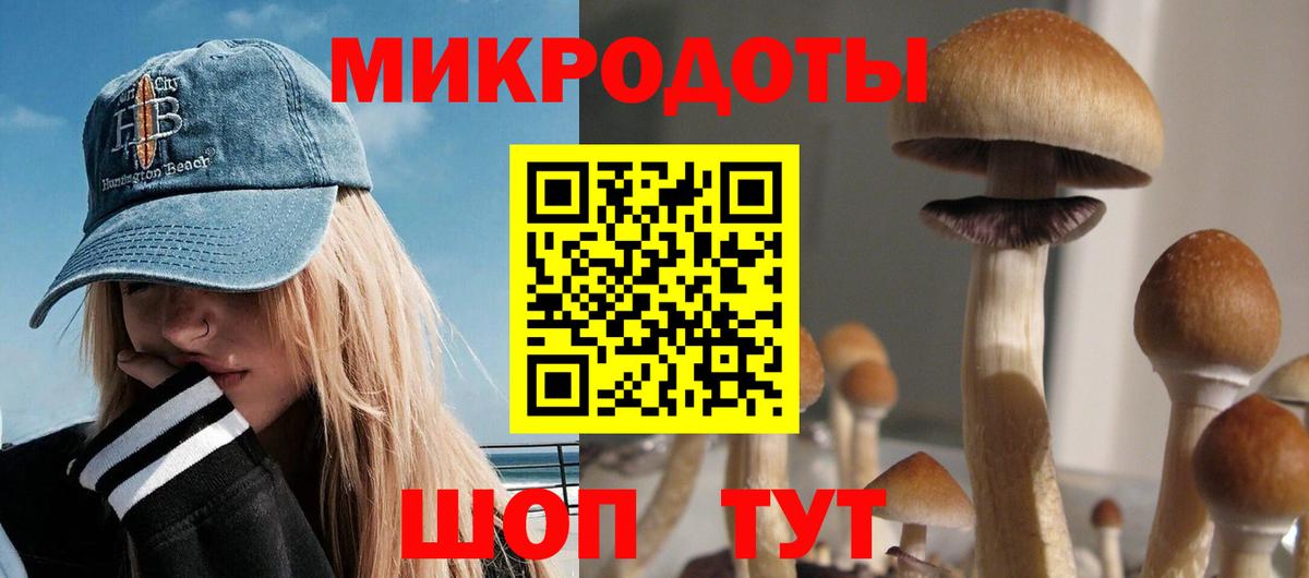 Кириши  купить наркотики цена  Вход с VPN  Галлюциногенные грибы мицелий 