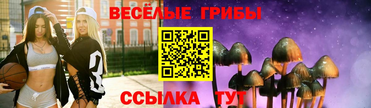 Псилоцибиновые грибы Psilocybine cubensis Кириши
