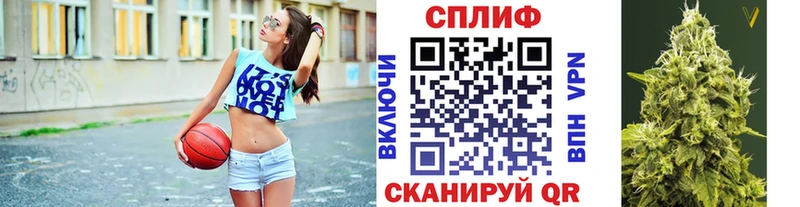Бошки марихуана сатива  нарко площадка Telegram  Кириши  гидра зеркало 